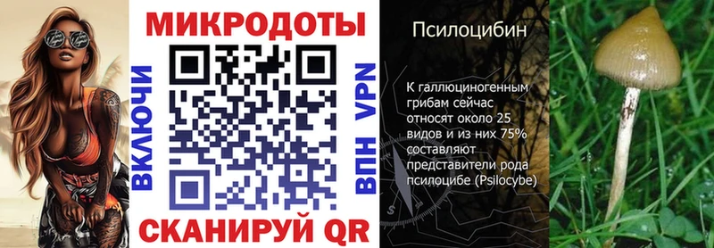 Галлюциногенные грибы Psilocybe  Купить закладки  Краснознаменск 