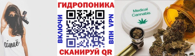 Купить где Краснознаменск Каннабис Ganja